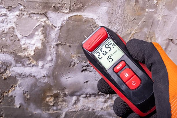 Professional Mold Removal in Interlaken, CA