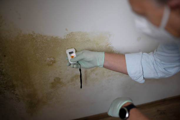 Best Water Damage Restoration  in Interlaken, CA