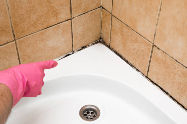 Best Mold Testing  in Interlaken, CA
